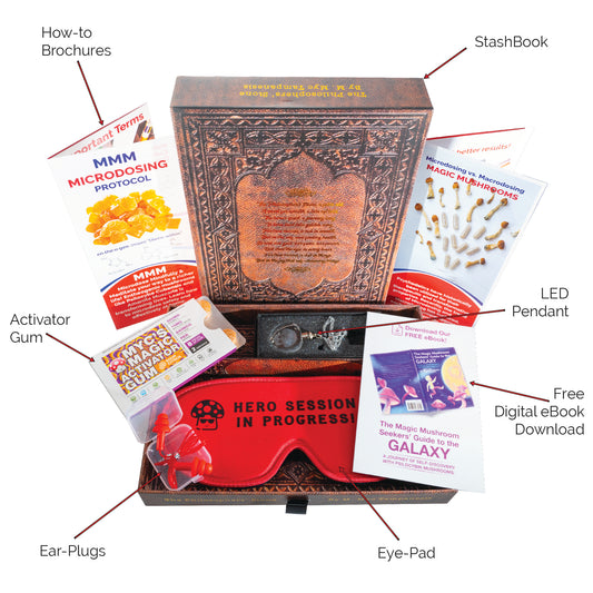 Microdose Newbie Gift Set - Stashbook + Activator Gum + Lion's Mane Gummies. Everything Needed to start!
